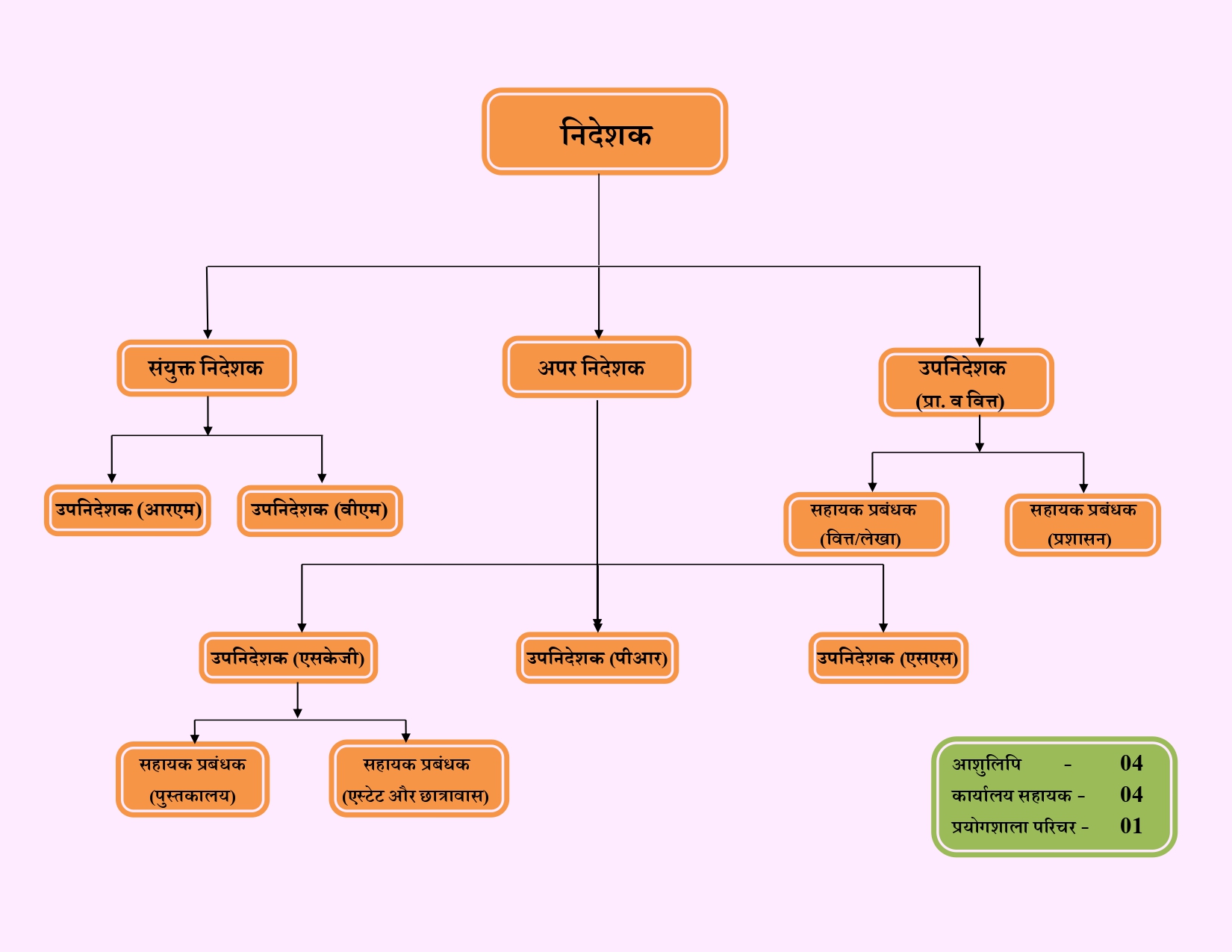 संगठन चार्ट